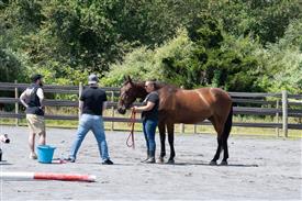 LR-WRF 08022025-Retreat-3232